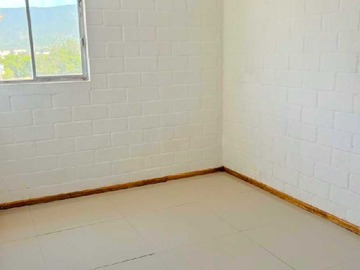 Imagen 11