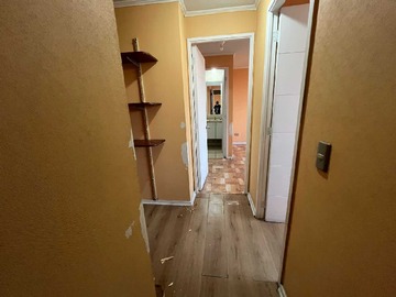 Imagen 12