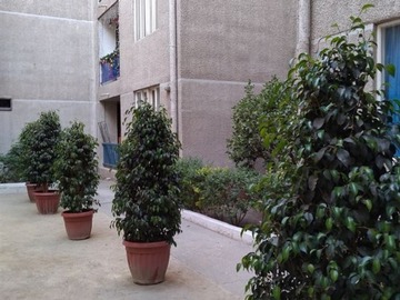 Imagen 15