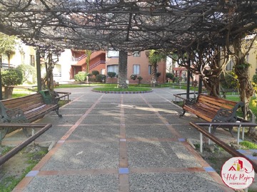 Imagen 16