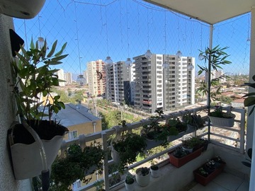 Imagen 6