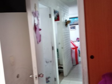 Imagen 16