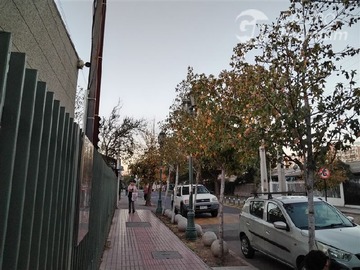 Imagen 23
