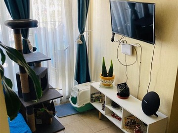 Venta / Departamento / La Cisterna