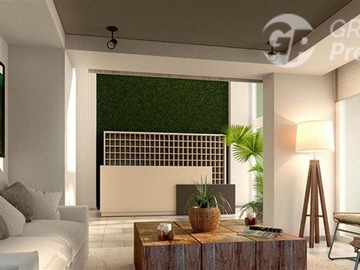 Imagen 15