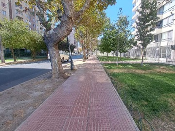Imagen 14