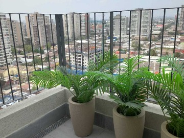 Imagen 11