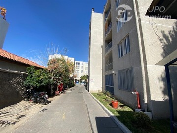Imagen 13