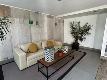 Imagen 25