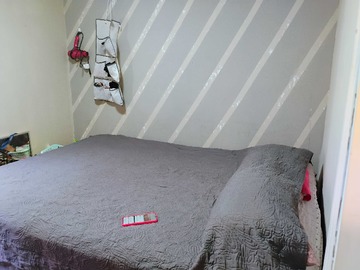 Imagen 13