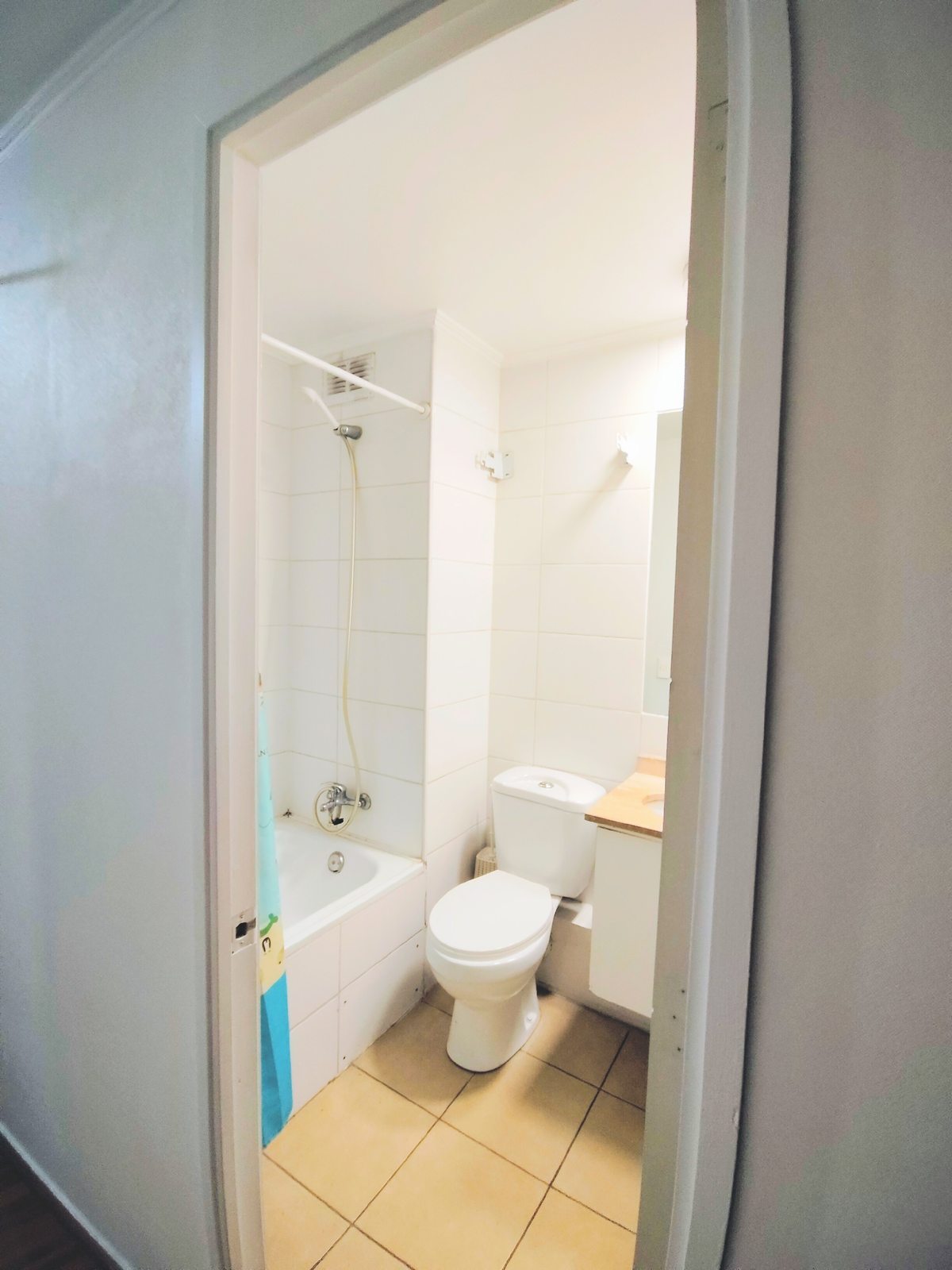 Baño Visita