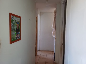 Imagen 5