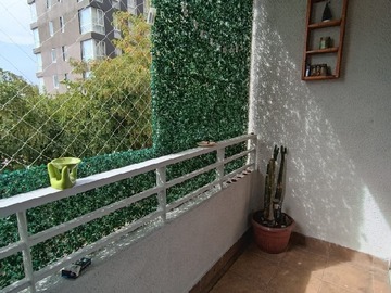 Imagen 5