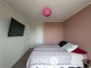 Imagen 6