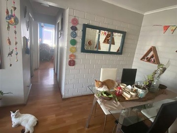 Venta / Departamento / La Florida