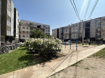 Imagen 5