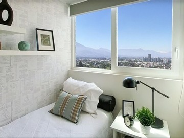 Imagen 5