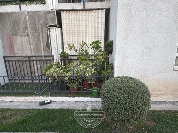 Imagen 14