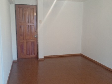 Puerta Living comedor