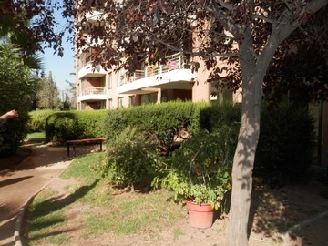 Imagen 15