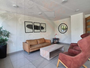 Imagen 19
