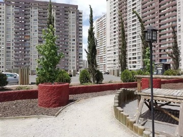Imagen 19