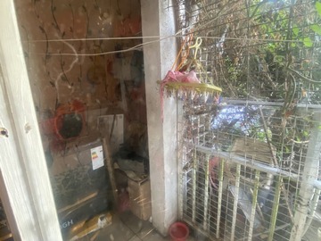 Imagen 12