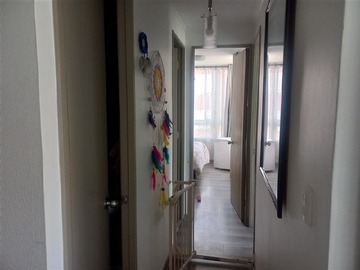 Imagen 5