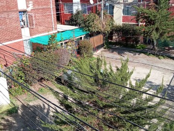Imagen 15