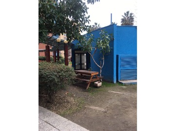 Imagen 20