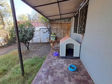Venta / Departamento / La Florida