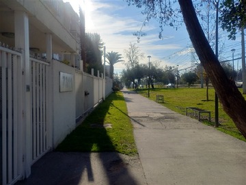 Imagen 19