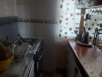 Imagen 5