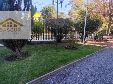 Imagen 20