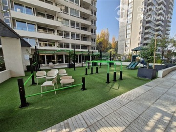 Imagen 12
