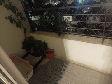 Imagen 4