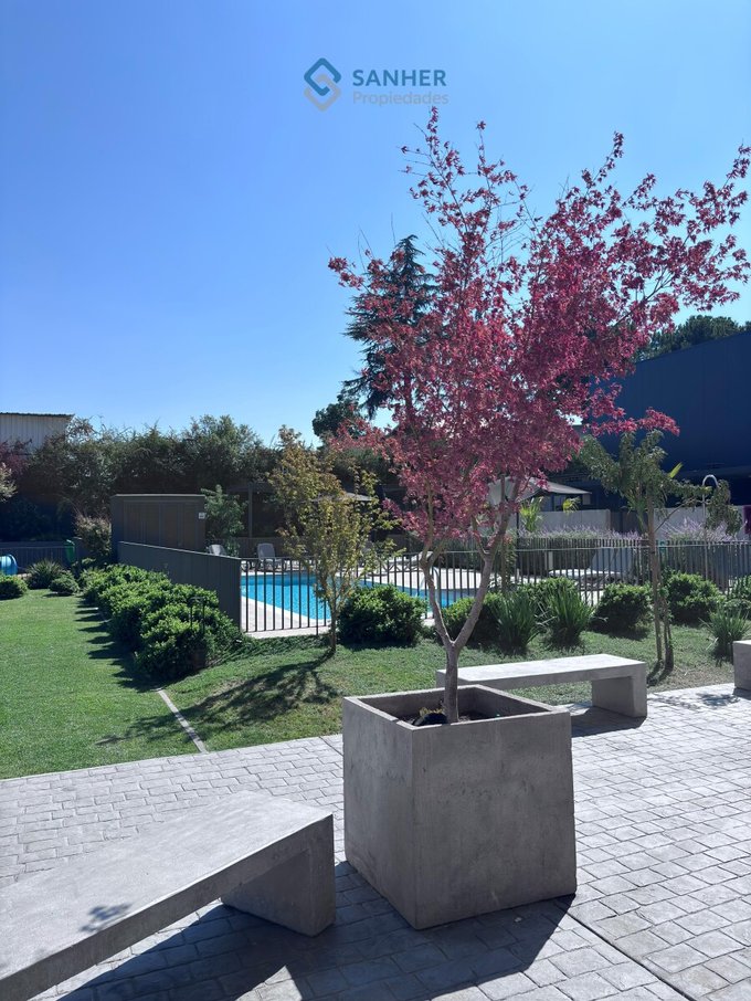 Jardín