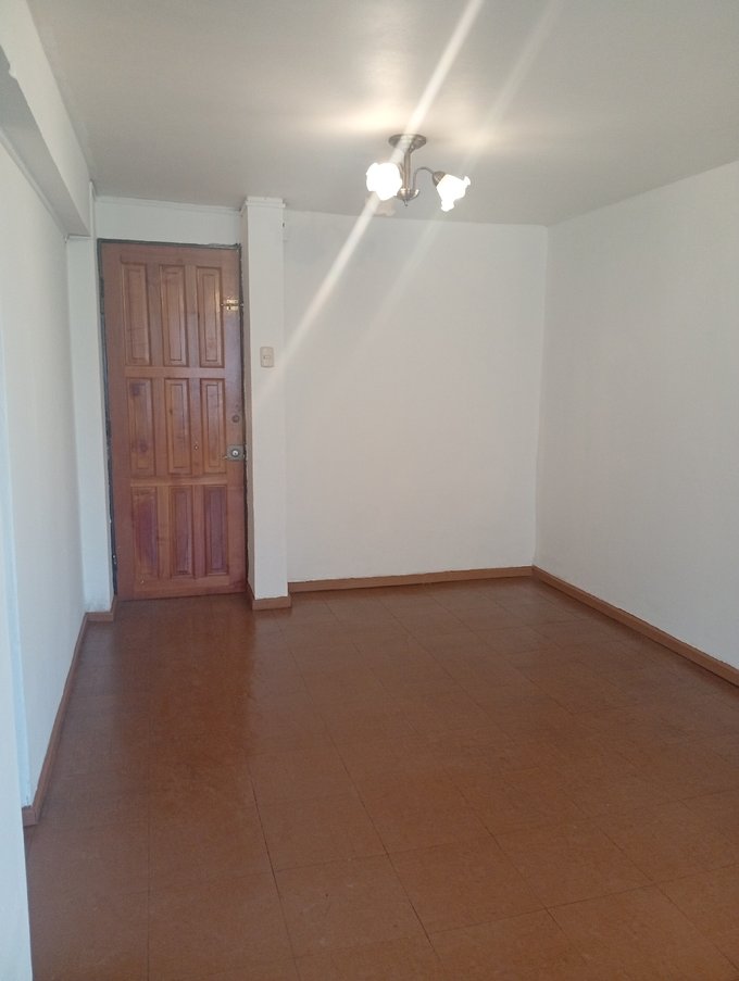 Puerta Living comedor