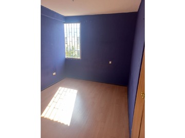 Imagen 5