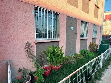 Imagen 5