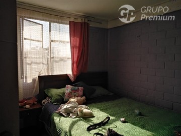 Imagen 13