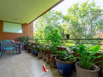 Imagen 10
