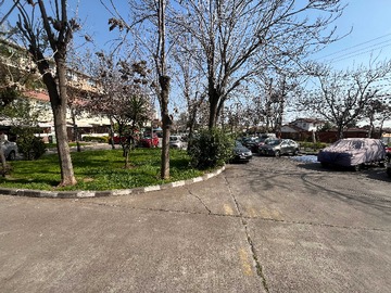 Imagen 13