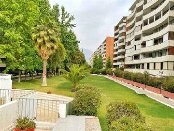Imagen 11