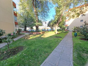 Imagen 17
