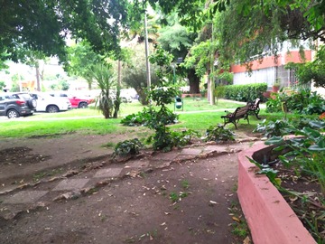 Imagen 18