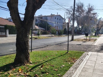 Imagen 11