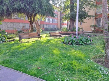 Imagen 16
