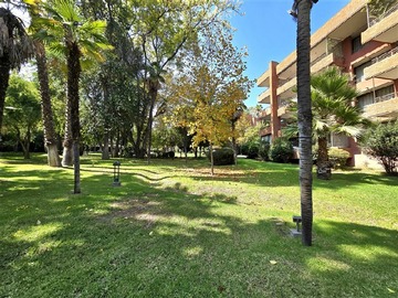 Imagen 15
