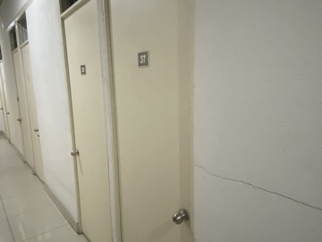 Imagen 14